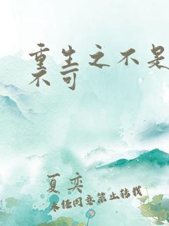 重生之不是非你不可