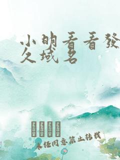 小明看看发布永久域名