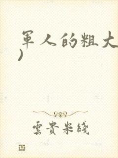 军人的粗大(h)
