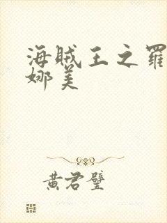 海贼王之罗宾h娜美