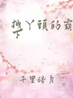 拽丫头的霸道殿下