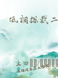 低调总裁二手妻