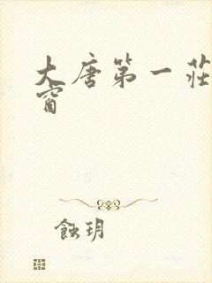 大唐第一庄无弹窗