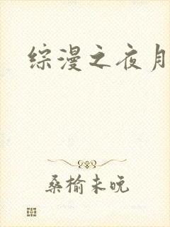 综漫之夜月