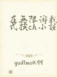 在无限游戏里花式挨ch小说