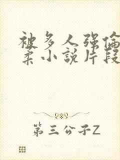 被多人强伦的小柔小说片段