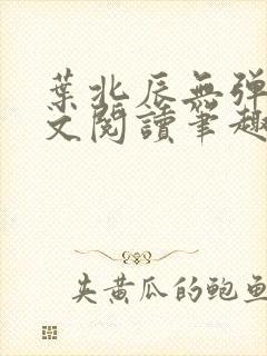 叶北辰无弹窗全文阅读笔趣阁