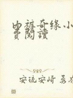 内裤奇缘小说免费阅读