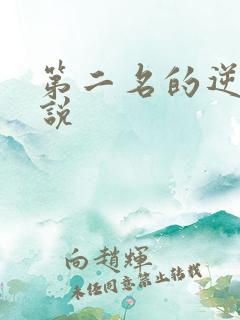 第二名的逆袭小说