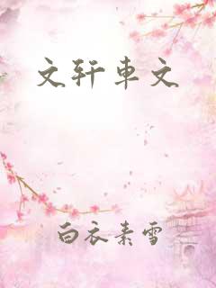 文轩车文