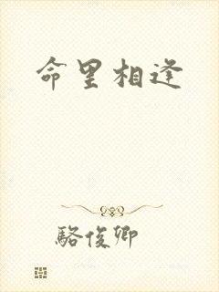 命里相逢