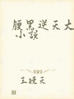 腹黑逆天大小姐 小说