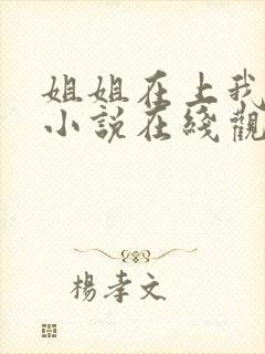 姐姐在上我在下小说在线观看