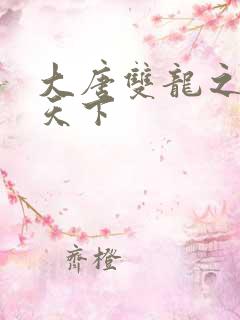 大唐双龙之无敌天下