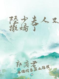 陆少夫人又双叒撒娇了