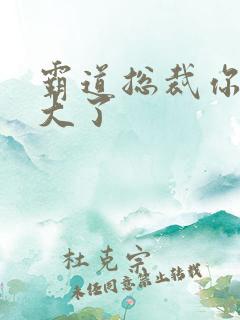 霸道总裁你的太大了