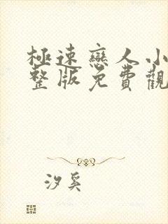 极速恋人小说完整版免费观看