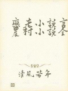 恋老小说言情网农村小说全文阅读