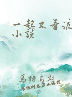 一起又看流星雨小说