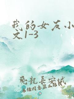 我的女友小洁全文1-3
