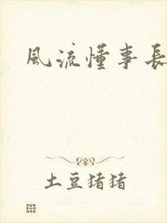 风流懂事长