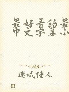 最好看的最新的中文字幕小说