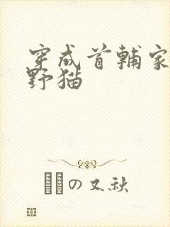 穿成首辅家的小野猫