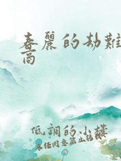 春丽的劫难军火商