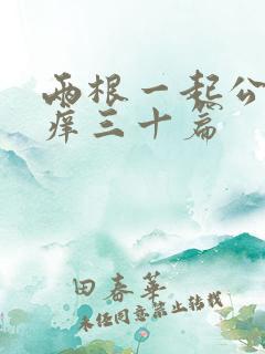 两根一起公憩止痒三十篇