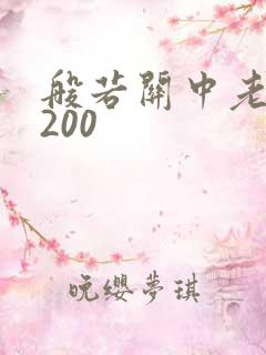 般若关中老人5200