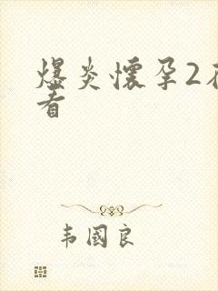 爆炎怀孕2在线看