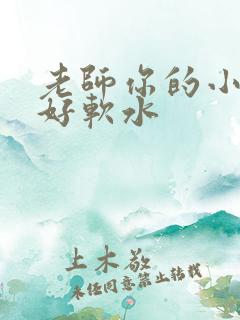 老师你的小兔子好软水
