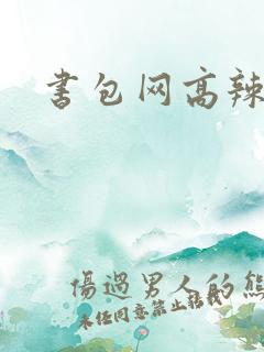 书包网高辣文