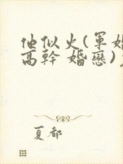 他似火(军婚 高干 婚恋)免费阅读