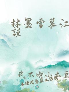 林墨雪慕江行小说
