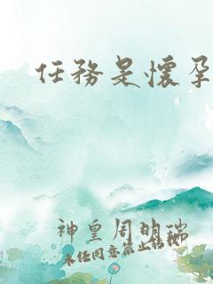 任务是怀孕系统