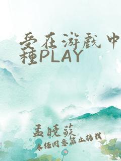 受在游戏中被各种PLAY