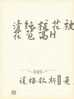 清纯校花被迫开花苞高H