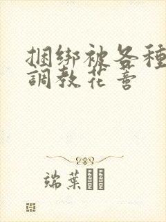 捆绑被各种工具调教花蒂