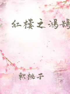 红楼之鸿鹄