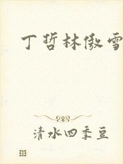 丁哲林傲雪小说