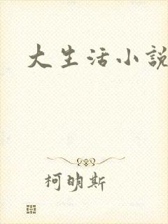 大生活小说