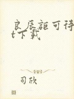 良辰讵可待txt下载