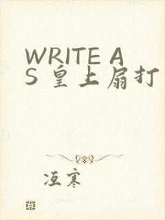 WRITE AS 皇上扇打