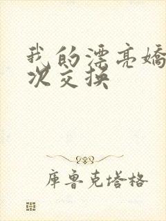 我的漂亮娇妻初次交换