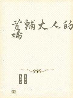 首辅大人的掌心娇