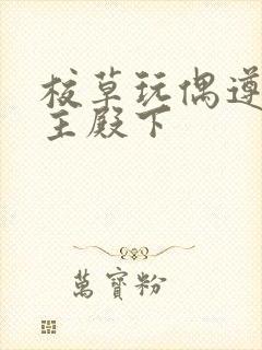 校草玩偶遵命公主殿下