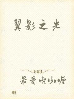 翼影之光