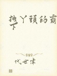 拽丫头的霸道殿下