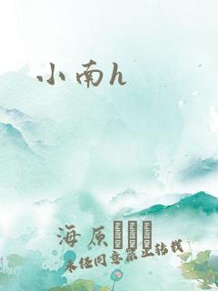 小南h